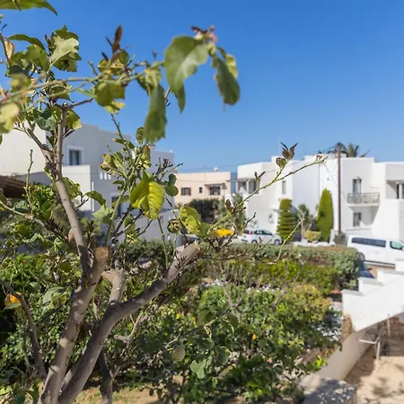 Mary & Jo's * Naxos City